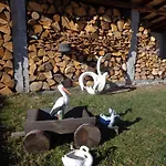 Gasthof Family Ecorelax