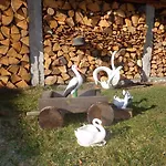 Gasthof Family Ecorelax Madzhare